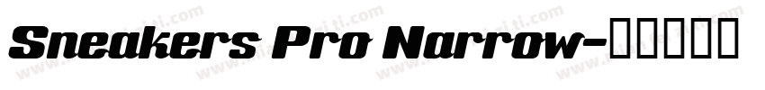 Sneakers Pro Narrow字体转换